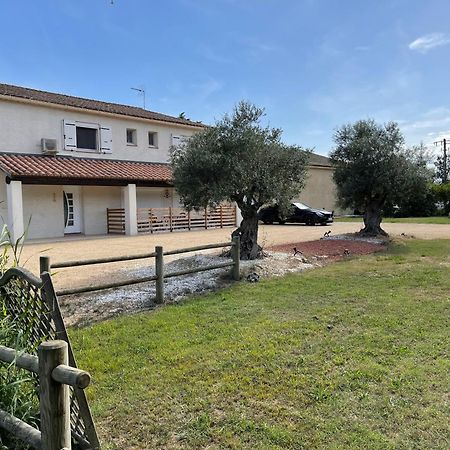 Studio 40M2 Avec Terrasse Le Mas De Lauriane Saintes-Maries-de-la-Mer Esterno foto