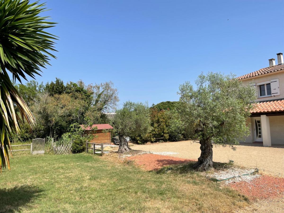 Studio 40M2 Avec Terrasse Le Mas De Lauriane Saintes-Maries-de-la-Mer Esterno foto
