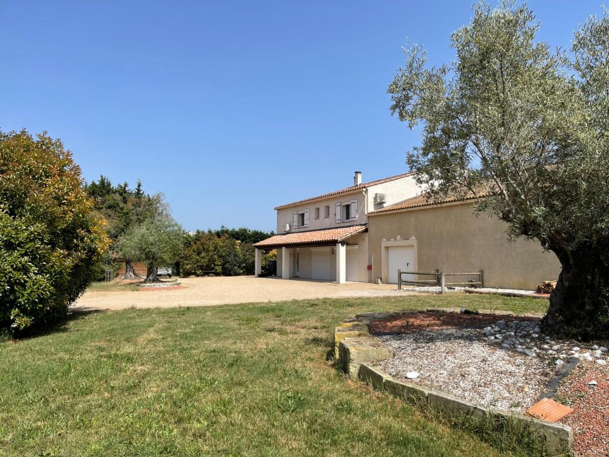 Studio 40M2 Avec Terrasse Le Mas De Lauriane Saintes-Maries-de-la-Mer Esterno foto